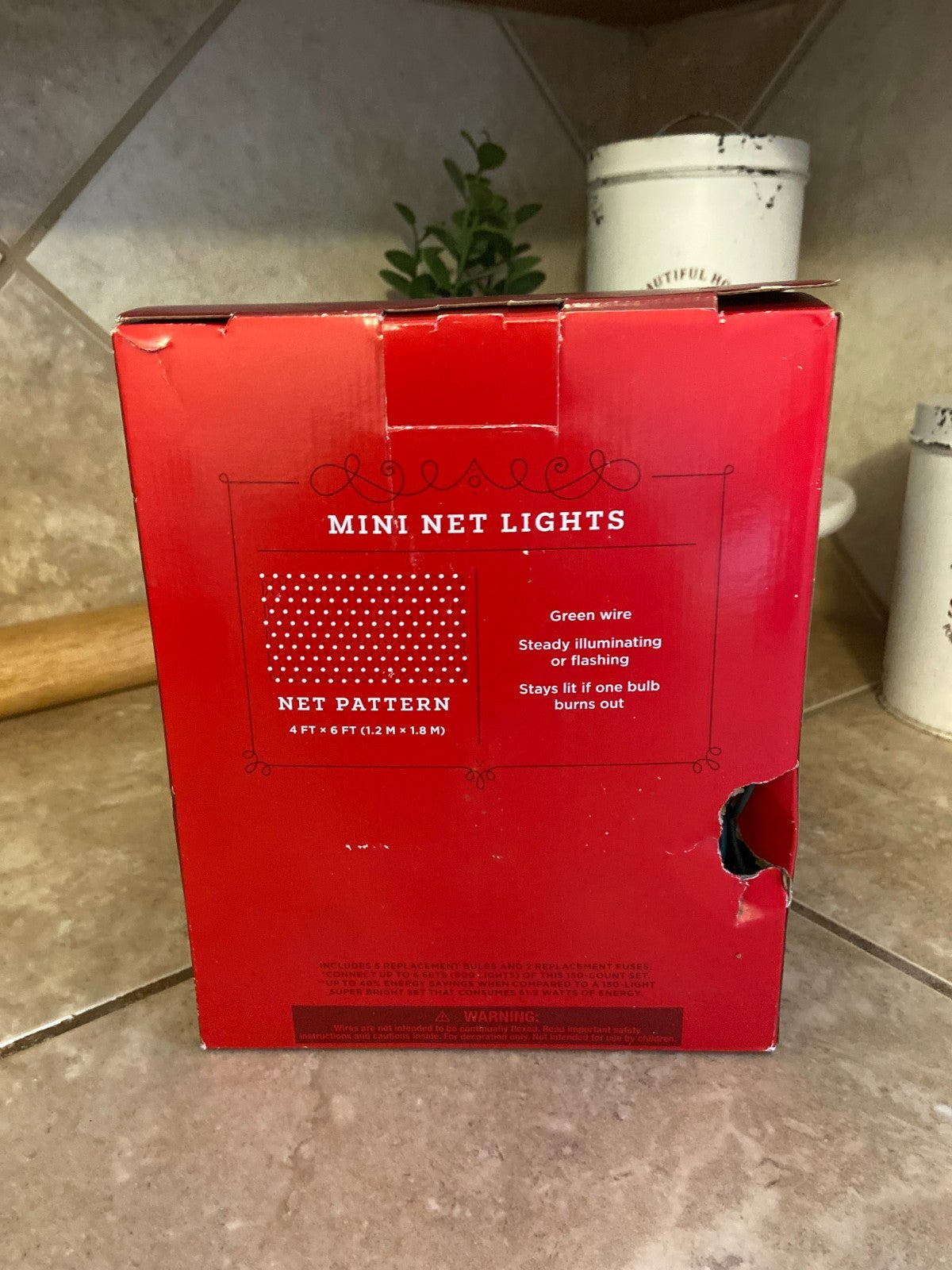 Wonder Shop  Multicolor Net Lights 4x6